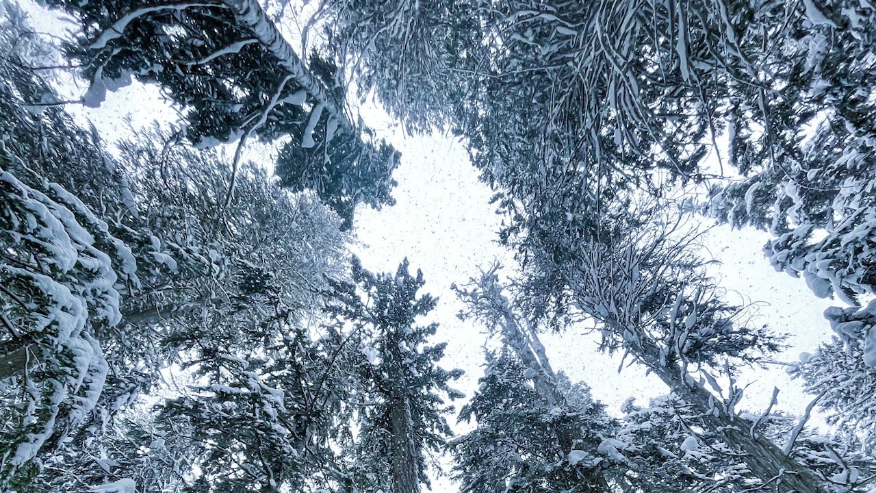 ❄️🎵RELAXING MUSIC WITH WINTER IMAGES ❄️🎵 Peaceful Mind - Astron