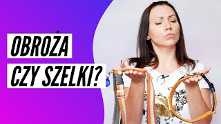 Obroża Czy Szelki? Co Lepsze?