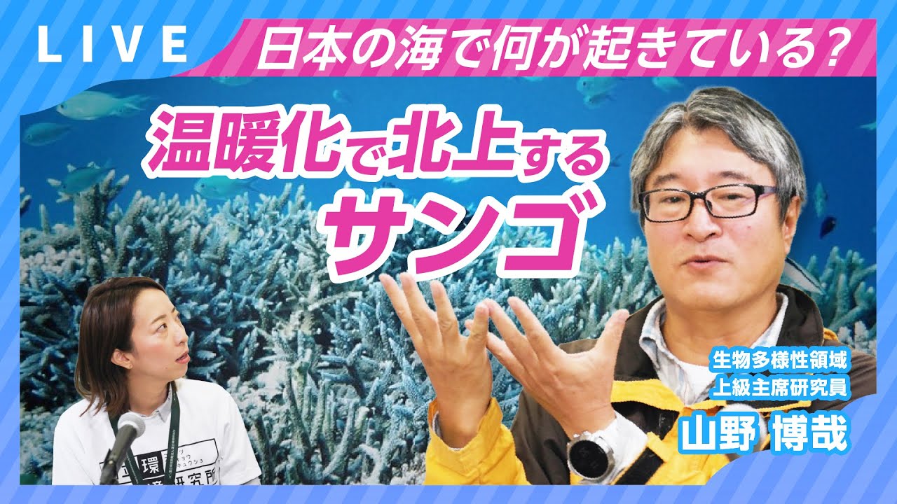 温暖化で北上するサンゴ ― 日本の海で何が起きている？【すごいぞ！生物ニュース2025】