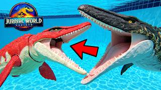 I Found a Giant Tylosaurus vs Mosasaurus in My Pool! Jurassic World Dinosaurs!