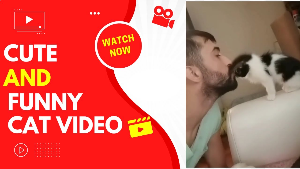 funny animal shorts | animal shorts video |cute animal funny video 