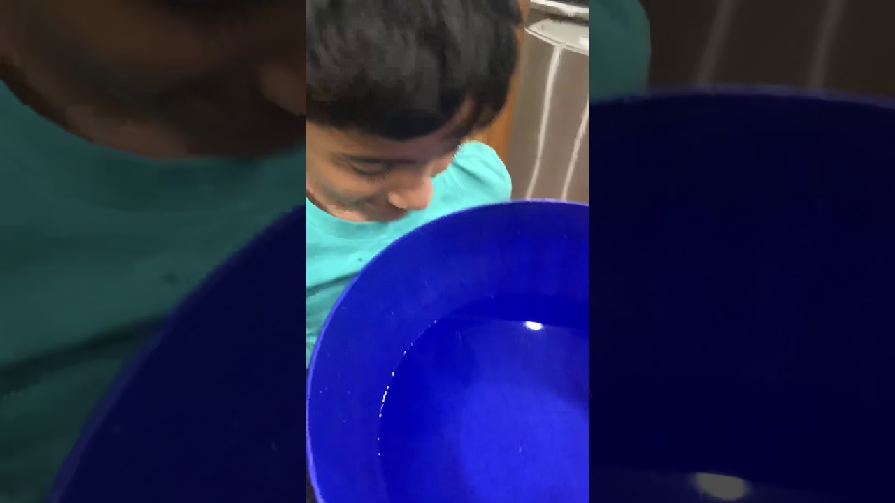 Fun experiments for kids- Orbeez beads soaked in water - YouTube