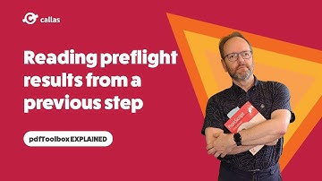 Reading preflight results from a previous step