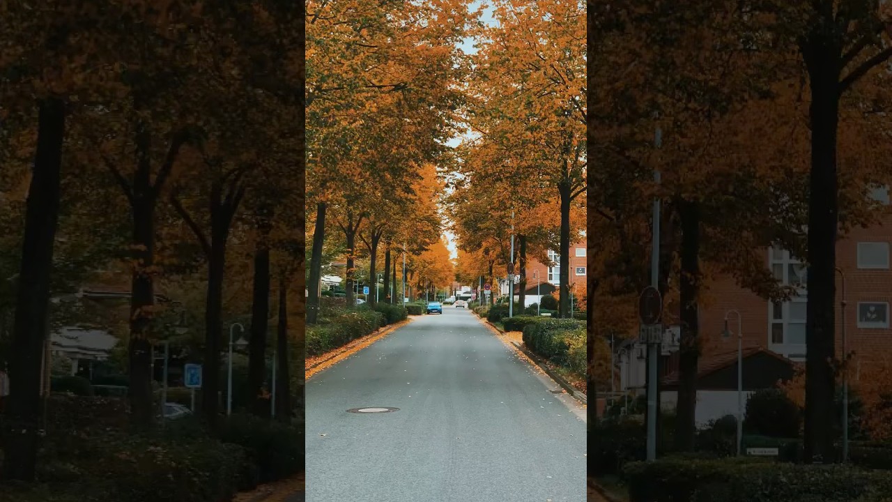Autumn in Germany 🍂 When Nature Paints Her Masterpiece