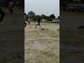 2 balls two great sixes| #cricket #shotsfeed #instagood #shotsvideo #gullycricket #art #livegame