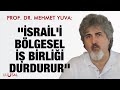 Prof. Dr. Mehmet Yuva: ''İsrail'i bölgesel iş birliği durdurur''