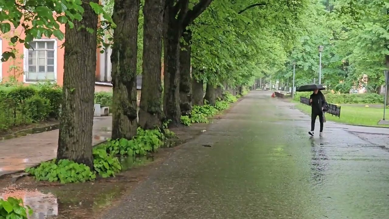 Санкт-Петербург. СЗГМУ им. И.И.Мечникова. Пискаревский пр. 47. 08.06.2024г.