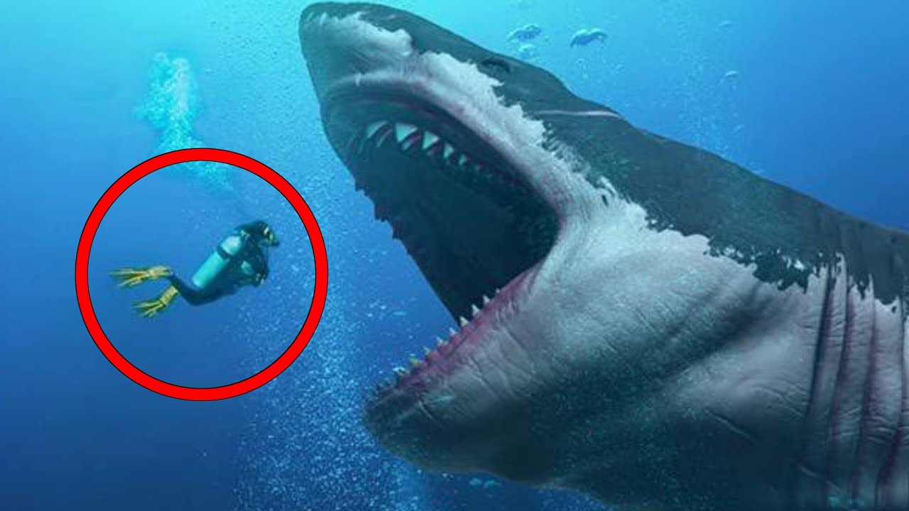 GTA 5 : BIGGEST MEGALODON SHARK IN GTA V - YouTube