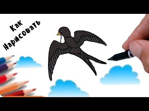 Как нарисовать Ласточку карандашом поэтапно, How to draw a swallow for children.