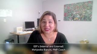 What are Internal and External Enterprise Environmental Factors?