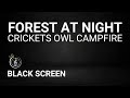 Forest Sounds at Night - Crickets, Owl, Campfire, Creek Sounds - Sleep, Relax, Yoga or Meditation
