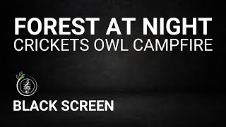 Forest Sounds at Night - Crickets, Owl, Campfire, Creek Sounds - Sleep, Relax, Yoga or Meditation screenshot 1