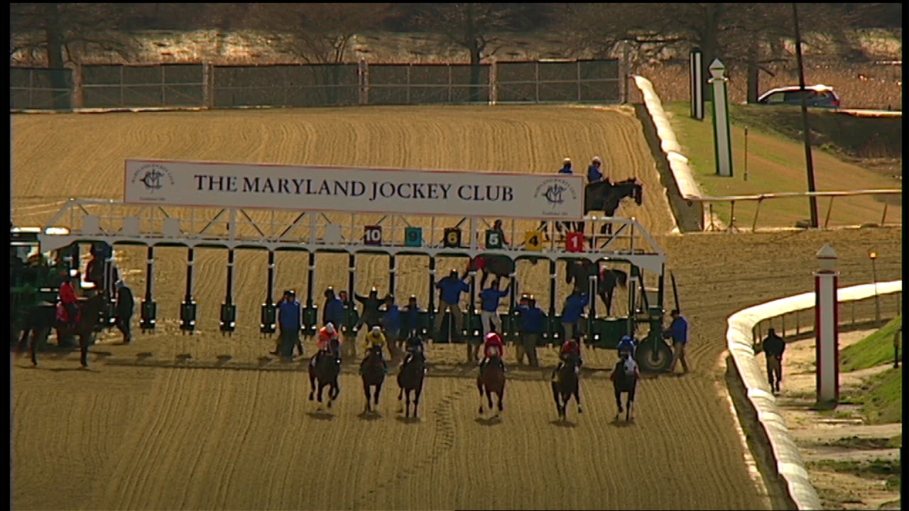 tvg laurel park
