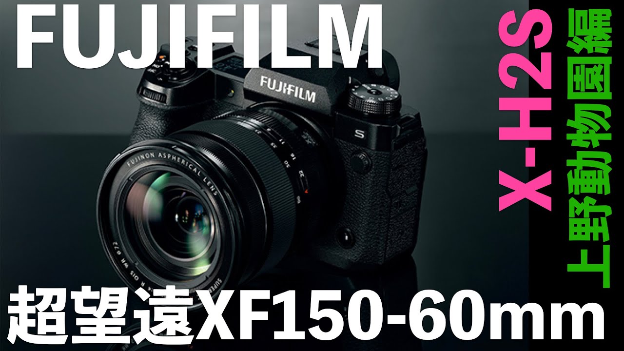 新型】富士フイルムX-H2S＆XF150-600mm動物園で瞳AFを検証 - YouTube