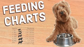How to Read Pet Feeding Charts