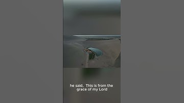 The Ant 39,40سورة النمل  #theholyquraninenglish  #quotes#quranictranslation #allahattributes #المصحف