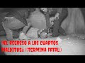 terrible regreso Cuartos Malditos Final Inesperado