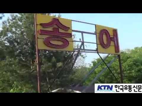 [한국유통신문.com]  맛집 탐방-대한민국 청정지역 경북 봉화군-도촌 송어 양식장 탐방-2017년 5월 3일-문의-054-672-8069