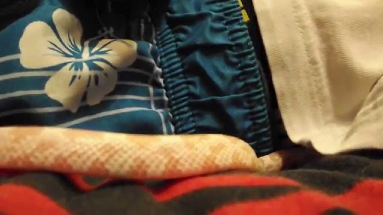 camera iphone 8 plus apk monroe & medusa the snakes playing..