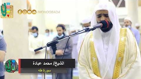 وخشعت الأصوات للرحمن فلا تسمع إلا همسا تلاوة تأخذ بالألباب