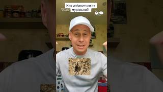 Как избавиться от муравьев на даче?!￼#лайфхаки #дача #огород #советы #bobbygrant690