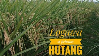 Logawa si padi pelunas hutang