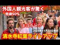 清水寺の紅葉ライトアップ初日はガチ混雑する 外国人観光客も京都の粋な演出に大歓声を発する 2025年11月22日撮影