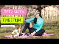 ТРЕТА СЕДМИЦА-ПЕТИМАТА ТИБЕТЦИ-7ПОВТОРЕНИЯ/ТАЙНАТА НА МЛАДОСТТА/ХАШИМОТО И ХОРМОНАЛЕН ДИСБАЛАНС