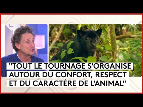 “Le dernier jaguar”, le nouveau défi de Gilles de Maistre  - C à Vous - 05/02/2024