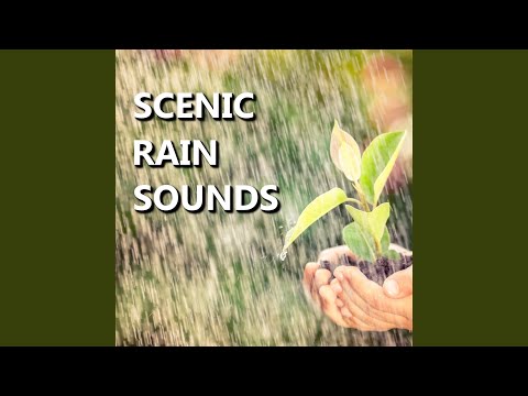 Brisk Sundown Rain Shower Sounds