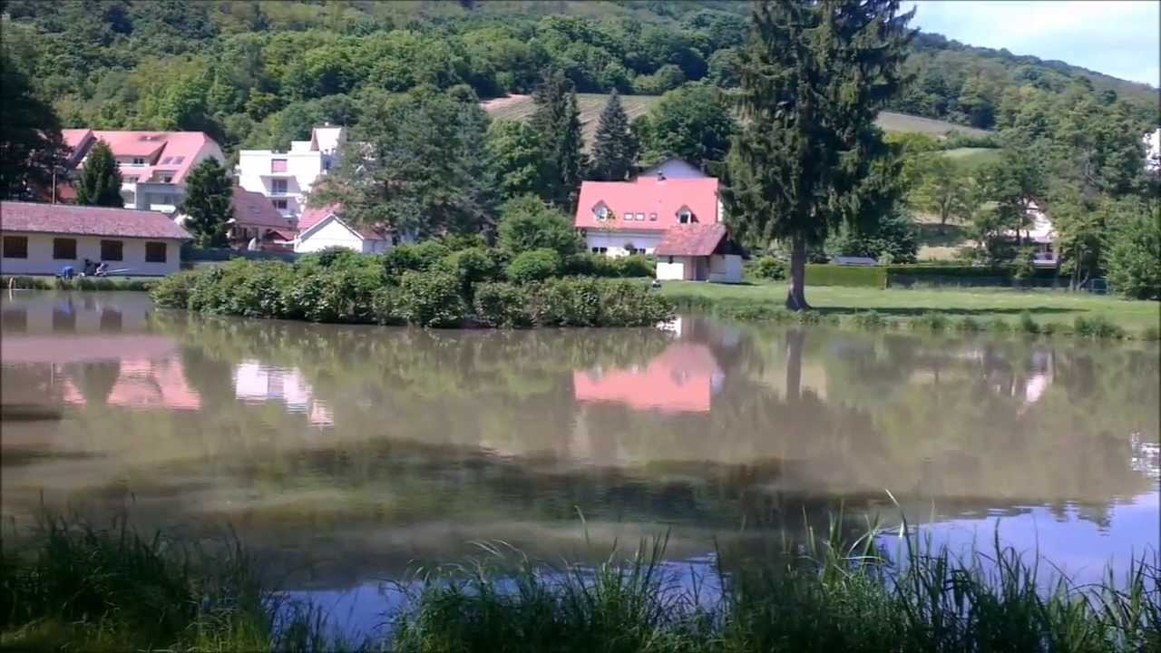 AJF,lauterbourg angeln tageskarte kaufen,westdenverweather.com