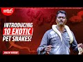 EP 113 | These snakes can be raised at home. Learn how | Vava Suresh at Mickey Pets, Pathanamthitta
