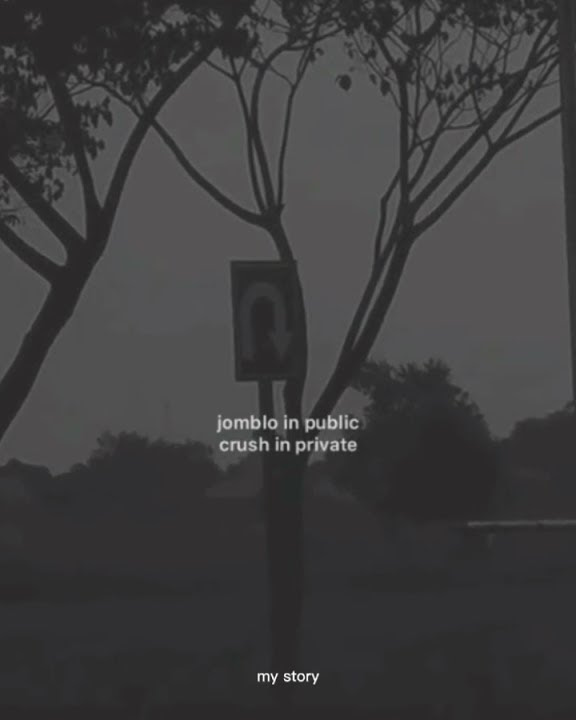 Story wa 30 detik sad boy