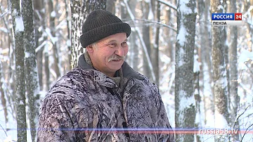 «Россия 24. Пенза»: какие богатства хранит заповедник «Приволжская лесостепь»