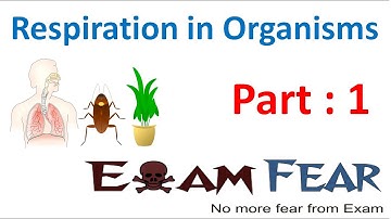 Biology Respiration in Organisms Part 1 (Introduction) Class 7 VII