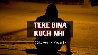 Tere bina kuch nhi|  | Slowed Reverd) #Lofisong #Sklofiindia
