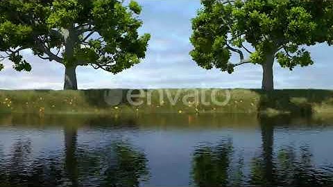 Time-lapse Growing Trees And Grass | Motion Graphics - Envato elements