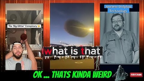 weird web wonders 454