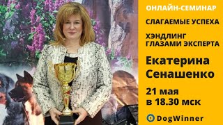 Онлайн-семинар "Хэндлер - самый первый и самый строгий судья собаки" от Екатерины Сенашенко