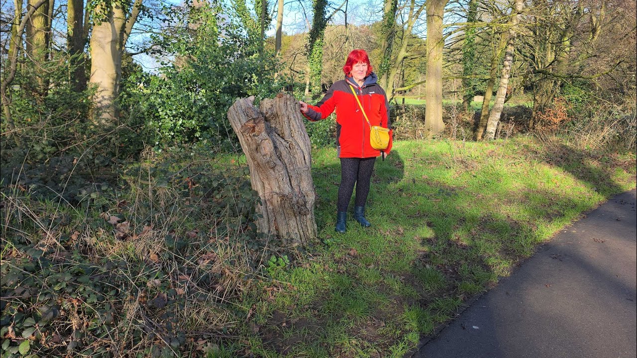 28 января 2026 г. Прибытие в Линкольн. Часть 1