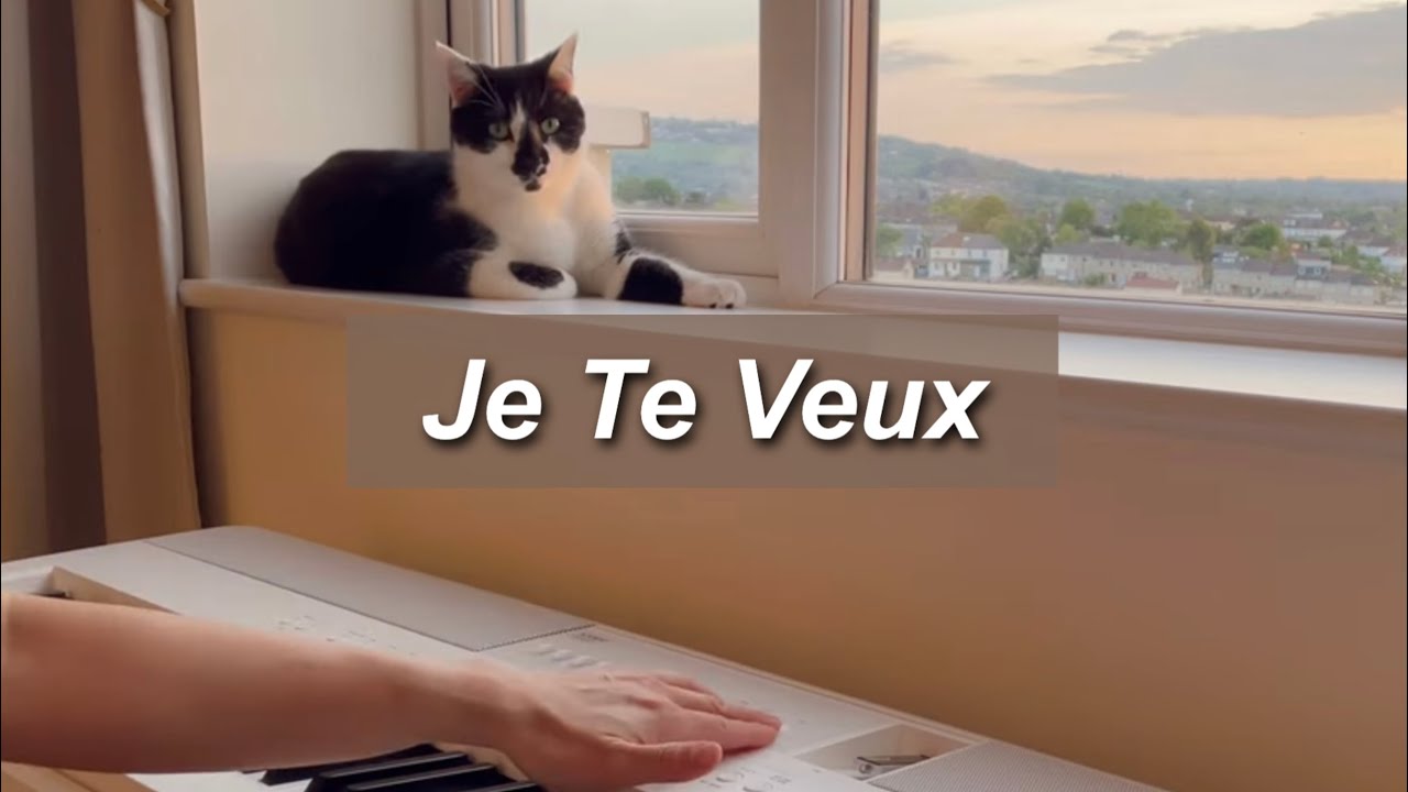 Je Te Veux - Satie Je Te Veux - Satie