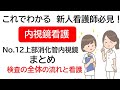 これでわかる　新人看護師必見！　内視鏡看護　介助 No.12上部消化管内視鏡まとめ　検査の流れと看護