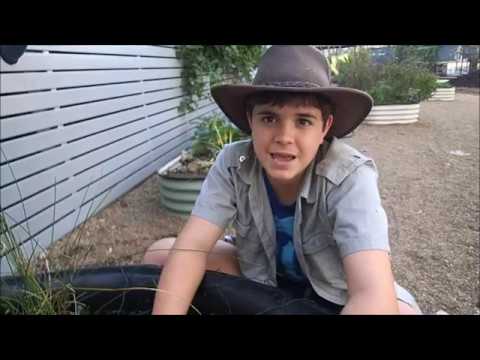 camera iphone 8 plus apk Native Pond Update at Milton State School. Voting has closed for Healthy Land and Water Awards 2017