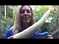 How to Process and Save Seeds from Luffa Sponge