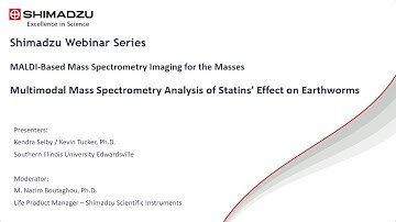 Multimodal Mass Spectrometry Analysis of Statins’ Effect on Earthworms