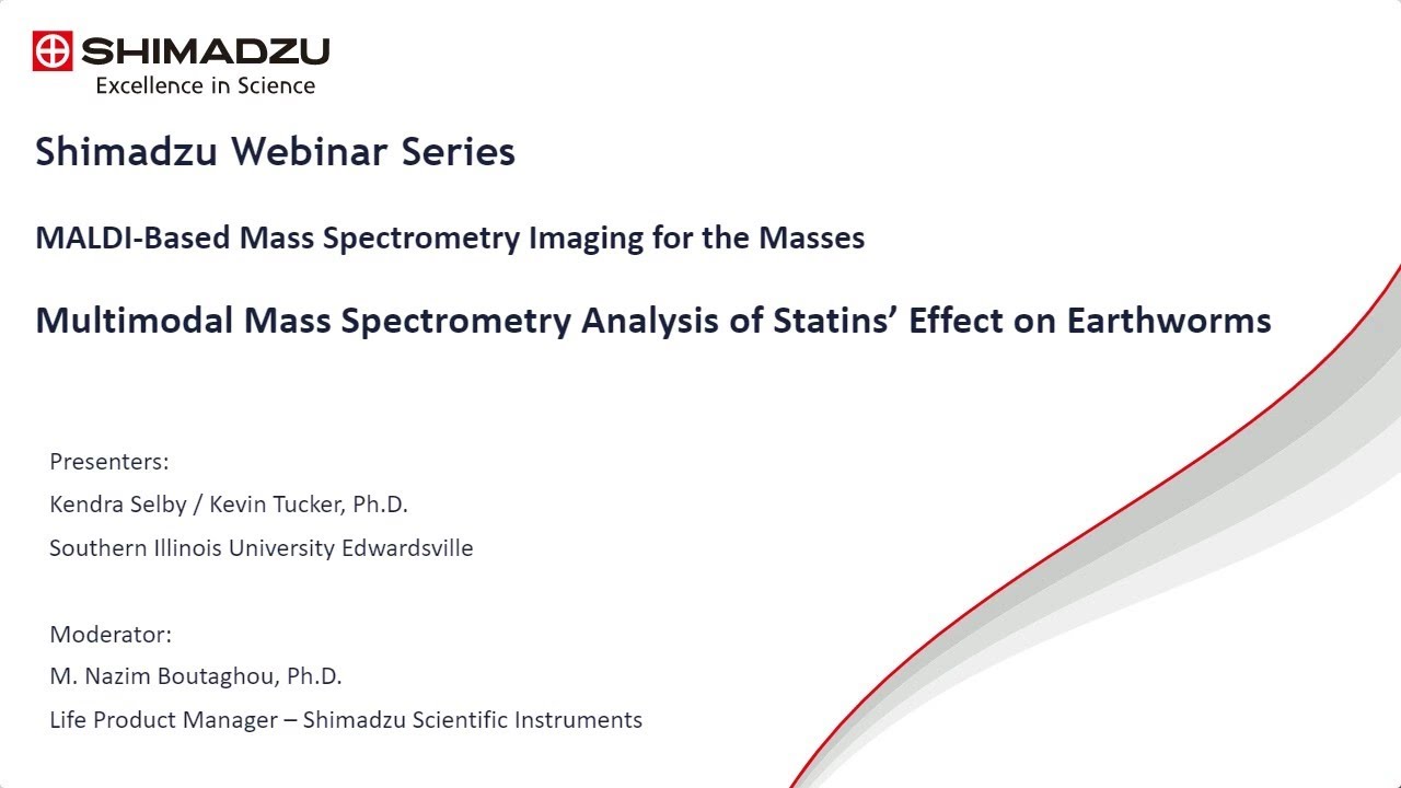 Multimodal Mass Spectrometry Analysis of Statins’ Effect on Earthworms
