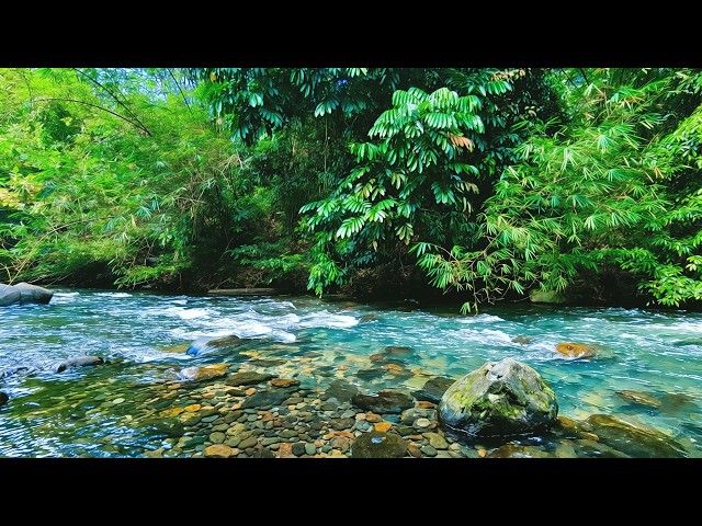 Cozy Ember ASMR 🌊 Relaxing River Flow | No Talking No Music Deep Sleep