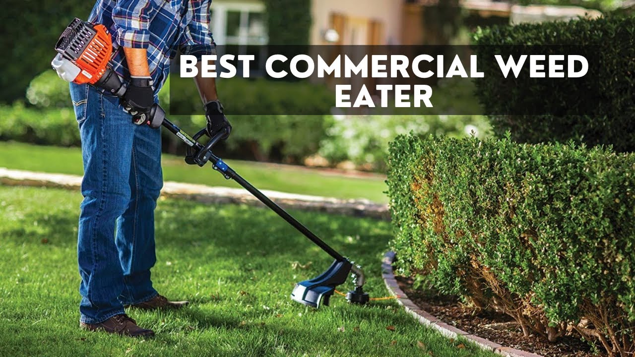 Best commercial weed eater for this month YouTube