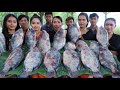 Amazing cooking 30kg fish roasted with chili sauce recipe in my family - Fish  roasted recipe