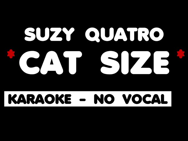 Suzy Quatro - CAT SIZE. Karaoke - no vocal. class=